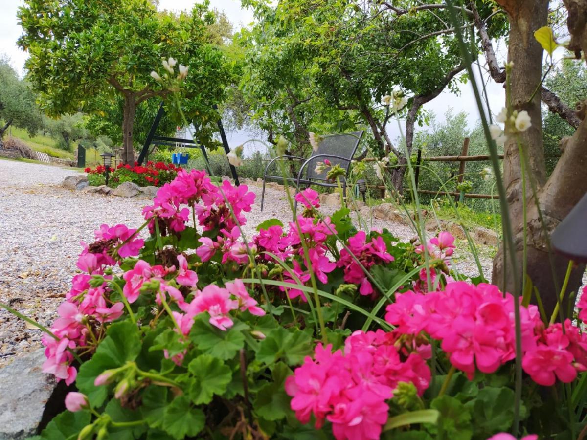 Country house El Bonito *
